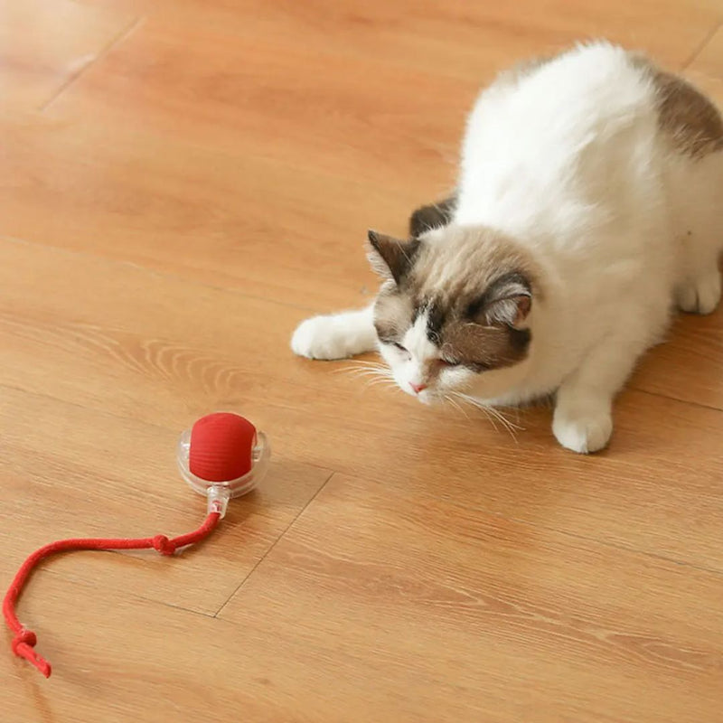 Bola Elétrica com Cauda para Pets – Brinquedo Interativo e Estimulante