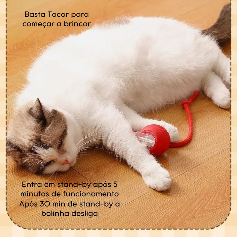 Bola Elétrica com Cauda para Pets – Brinquedo Interativo e Estimulante