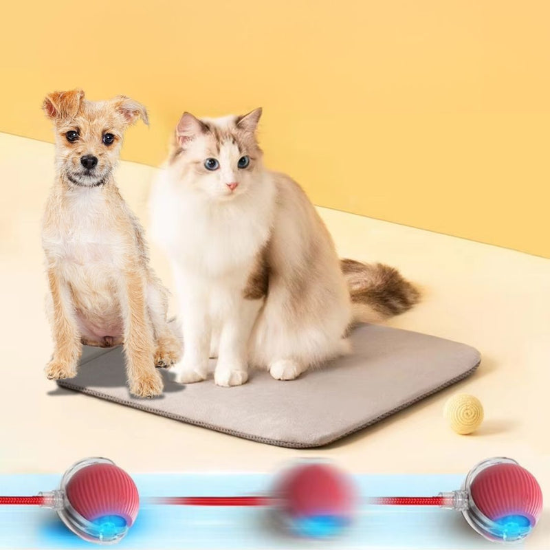 Bola Elétrica com Cauda para Pets – Brinquedo Interativo e Estimulante