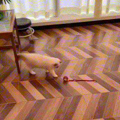 Bola Elétrica com Cauda para Pets – Brinquedo Interativo e Estimulante